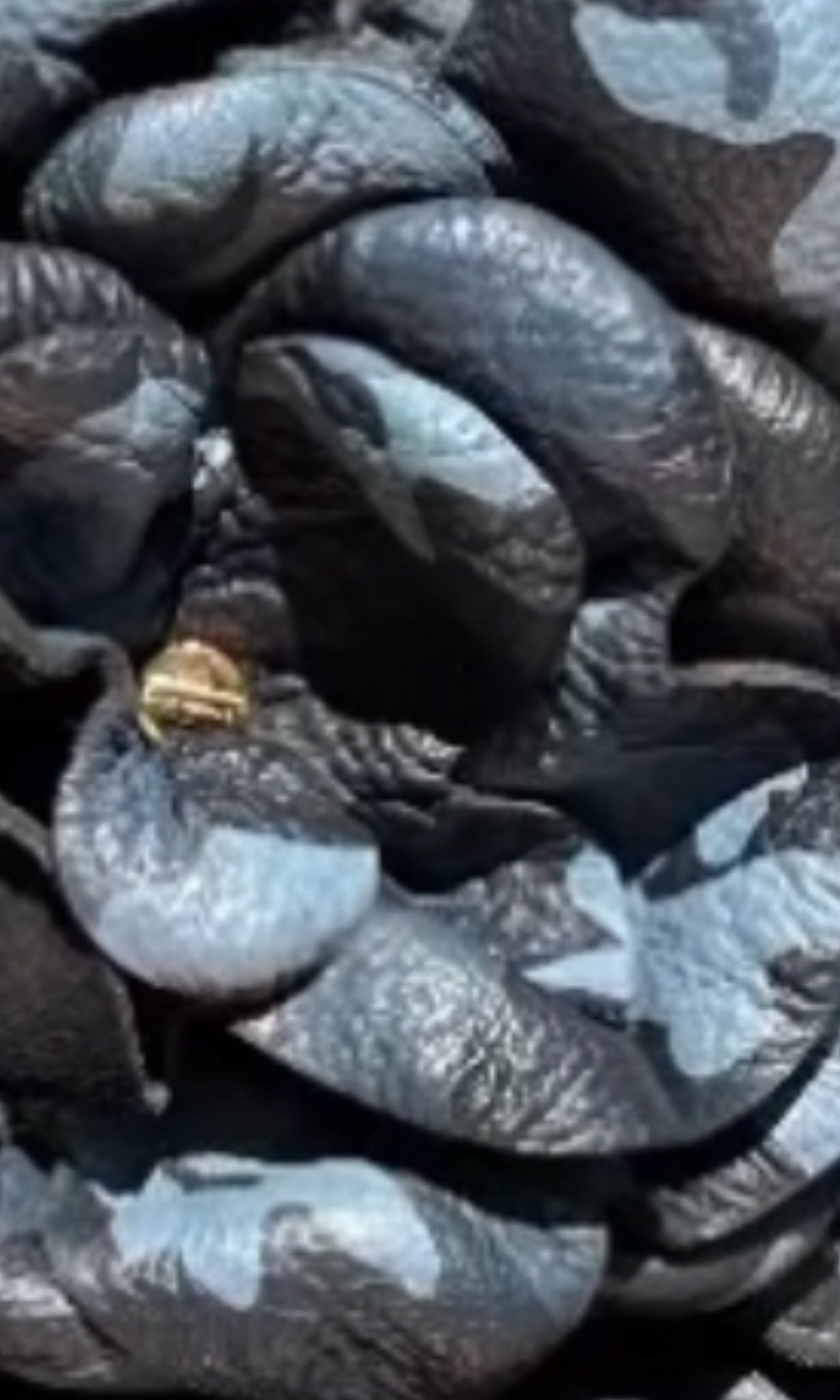 The Leather Floral Charm Accessory